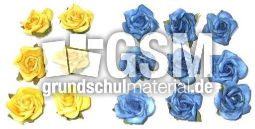 Blumen6+9.jpg
